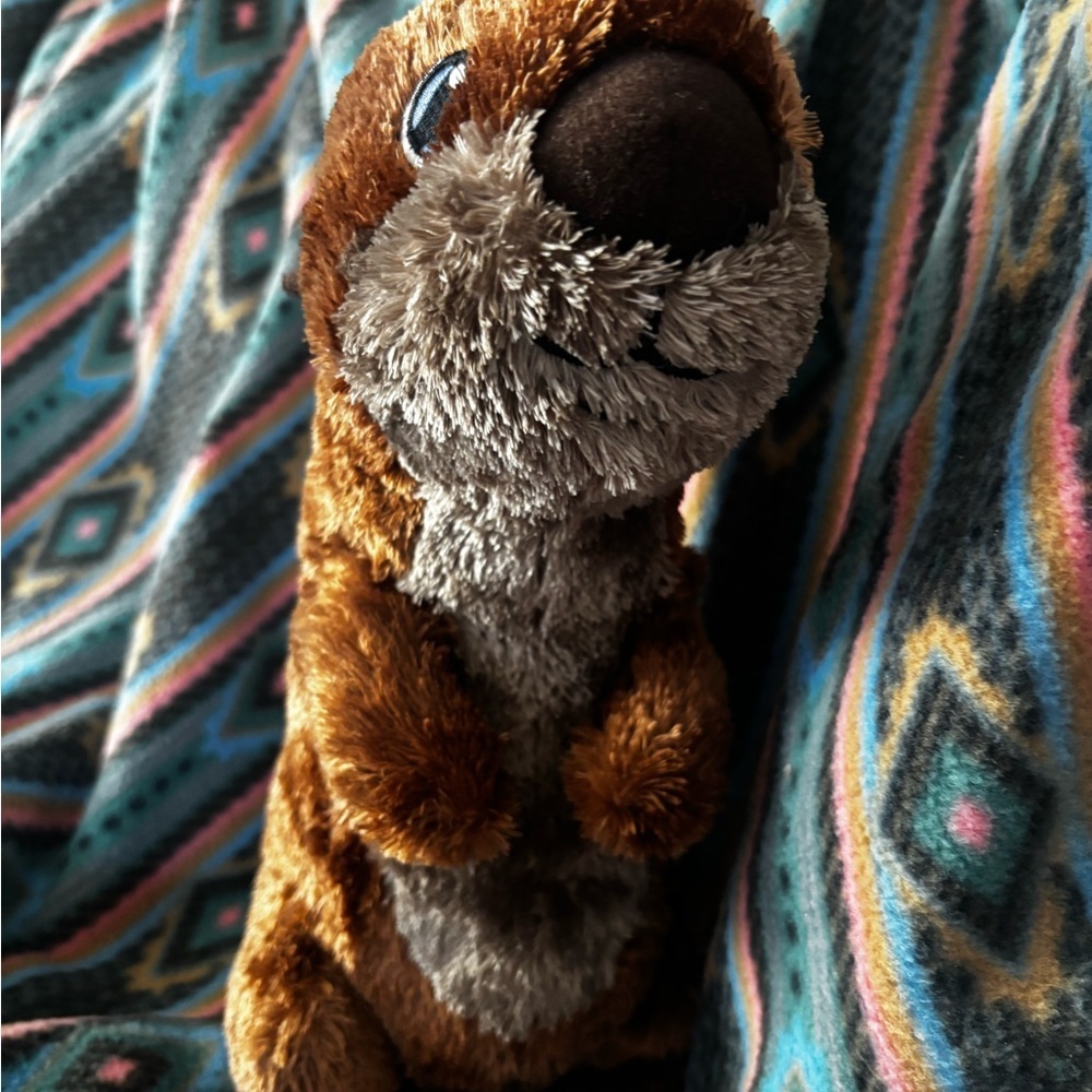 Disney‎ Parks Finding Dory Sea Otter BNWOT A00314